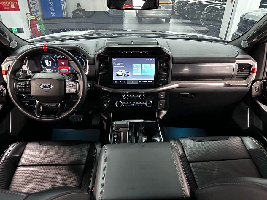 Ford F-150 Raptor 2024 car image #13