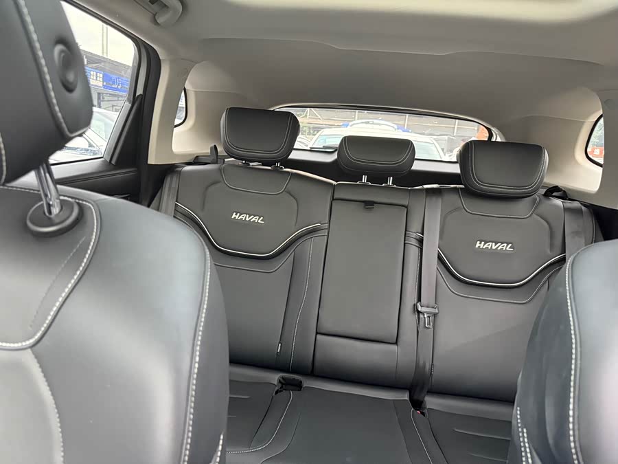 Haval Jolion 2020 car image #13