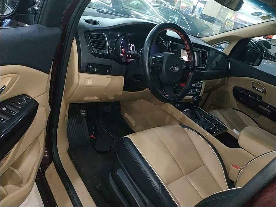 Kia Carnival (Imported) 2016 car image #13