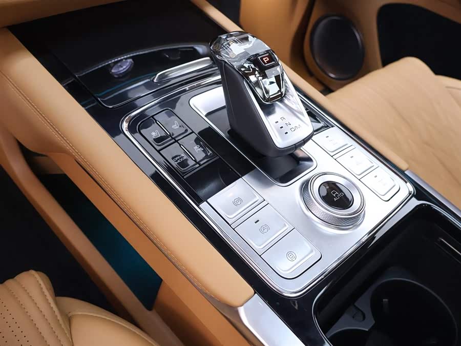 Tank 500 New Energy 2023 car image #13