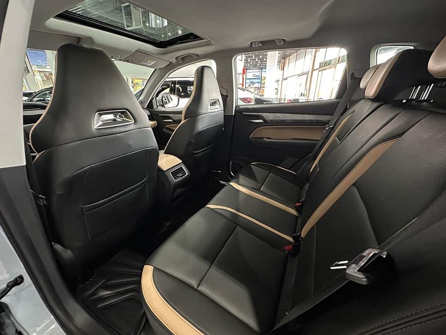 GEELY OkavangoPRO 2024 car image #13