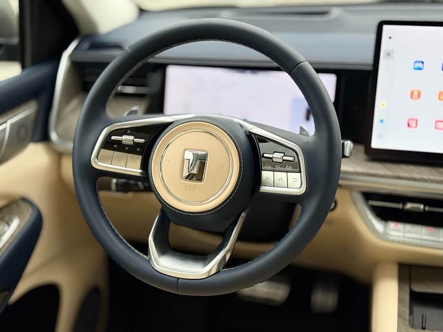 Tank 500 New Energy 2025 immagine di auto #13