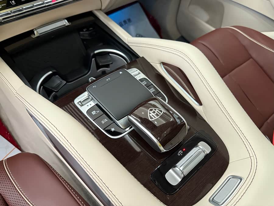 Mercedes-Benz Maybach GLS 2021 imagen de coche #13