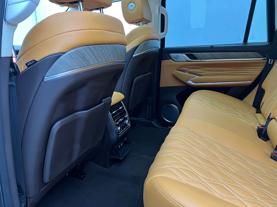 Tank 500 New Energy 2023 immagine di auto #13