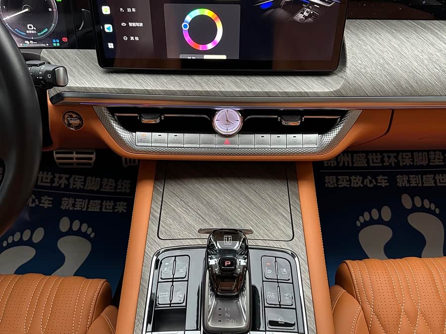 Tank 500 New Energy 2024 car image #13