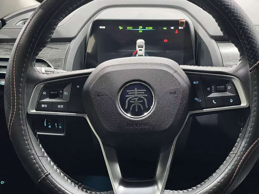 BYD Qin Pro New Energy 2019 car image #13