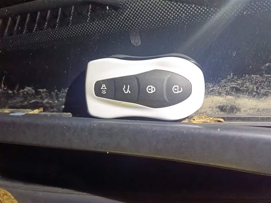 GEELY Tugella New Energy 2019 car image #13