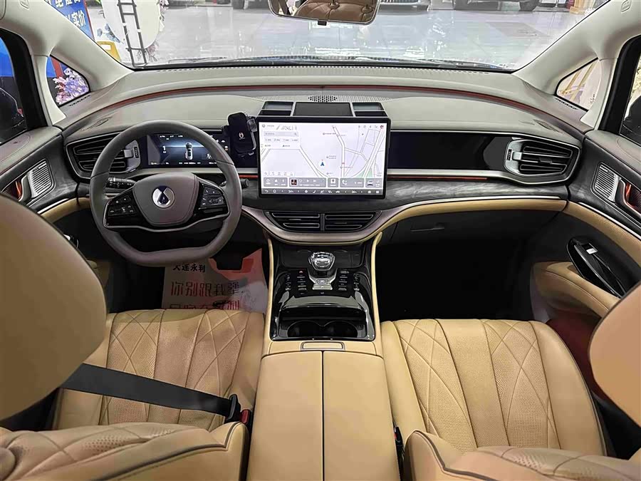 Denza D9 2023 imagem de carro #13