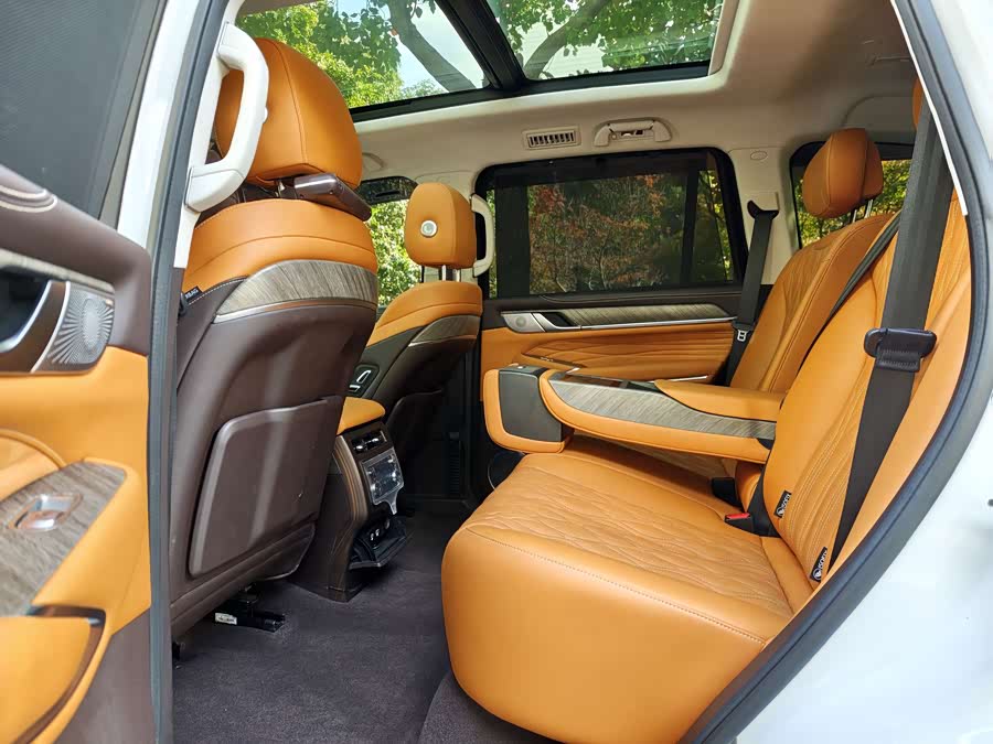 Tank 300 2021 car image #13