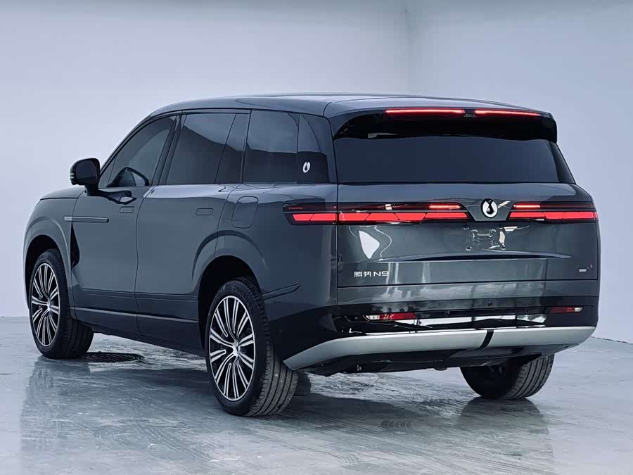 Denza N9 2025 car image #13