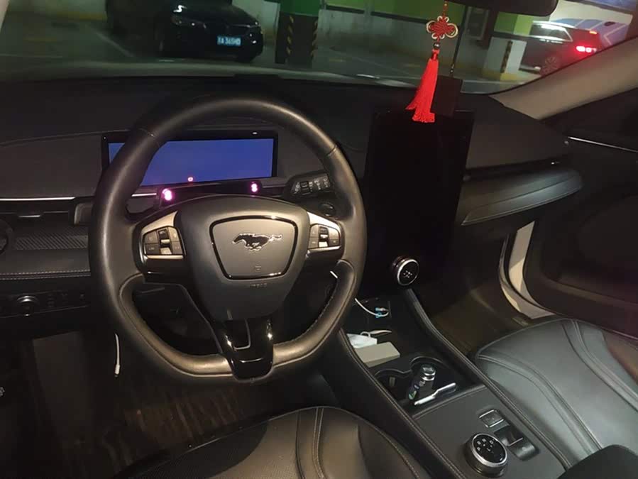 Ford Mustang Mach-E 2022 #13 Ford Mustang Mach-E 2022 car image #13