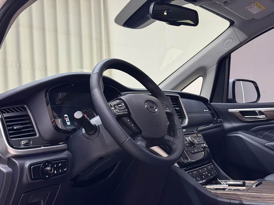 GAC Trumpchi M8 2020 #13 GAC Trumpchi M8 2020 car image #13