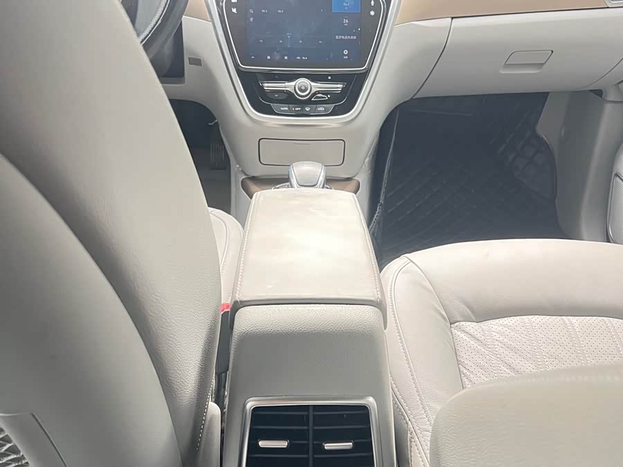 Denza DENZA 2019 صورة سيارة #13