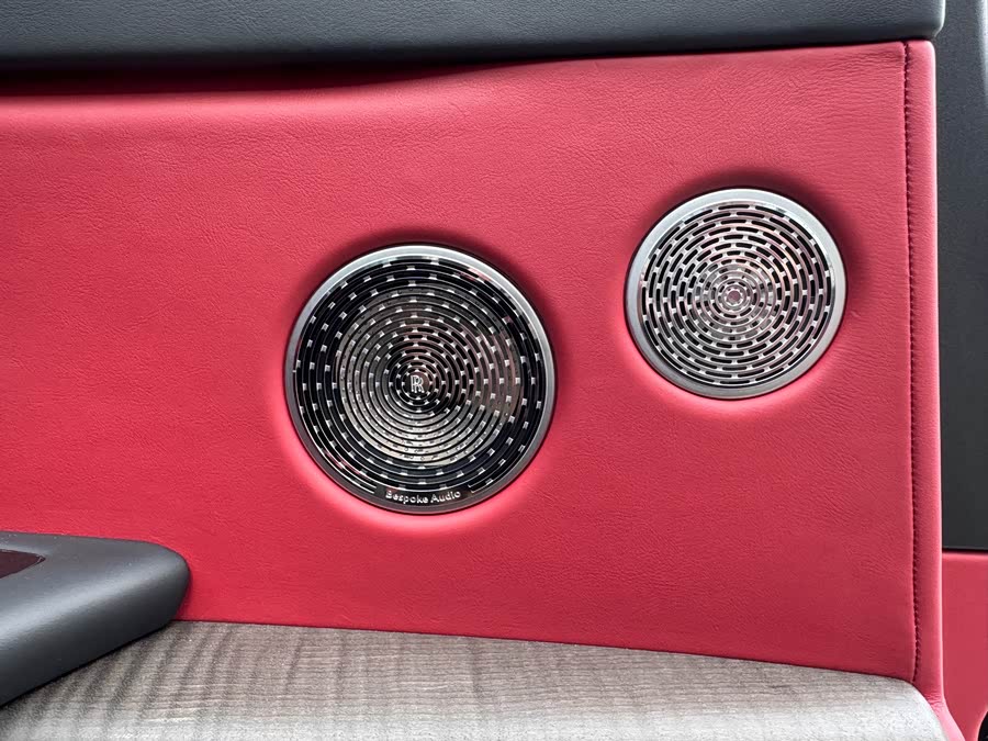 劳斯莱斯 库里南 2021 汽车图片 #13