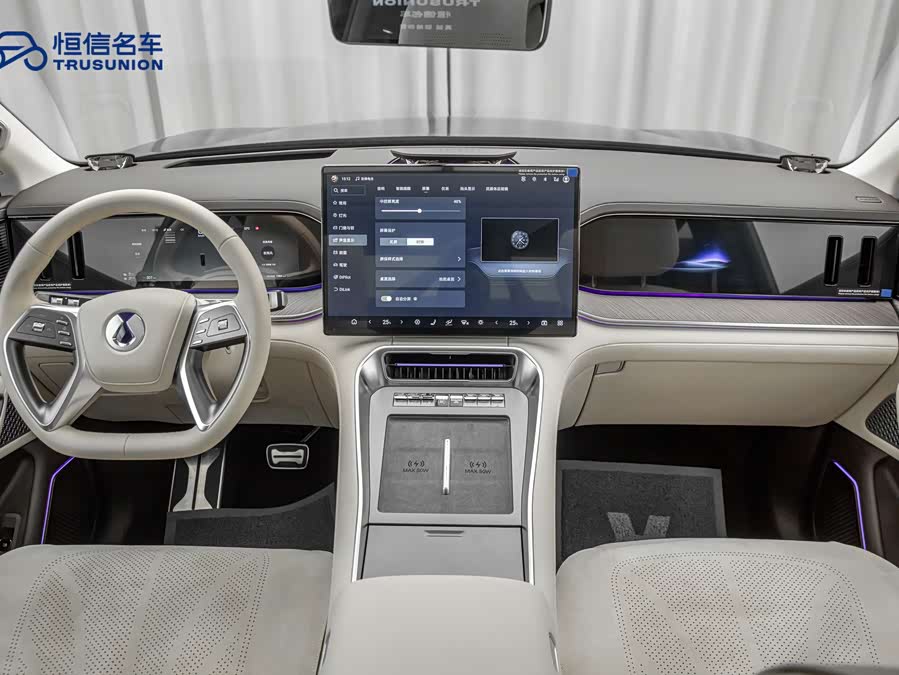 Denza N9 2025 car image #13