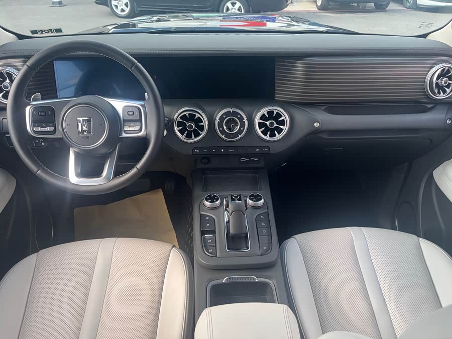 Tank 300 New Energy 2024 car image #13