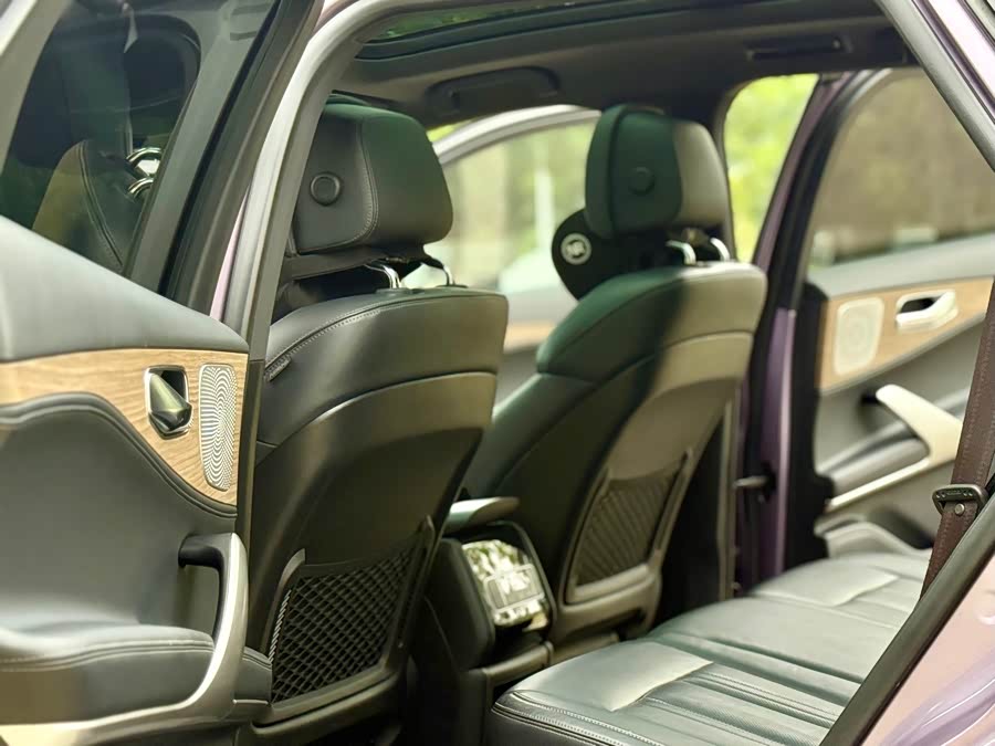 Denza X 2020 #13 Denza X 2020 imagem de carro #13