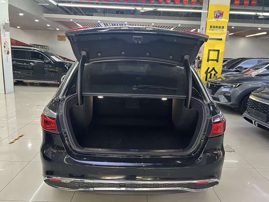 Denza DENZA 2018 imagem de carro #13