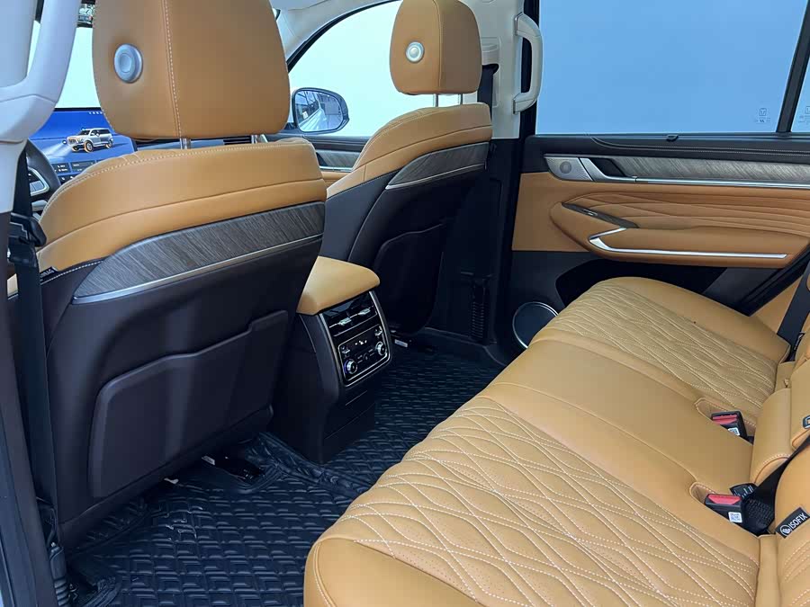 Tank 500 New Energy 2024 #13 Tank 500 New Energy 2024 car image #13