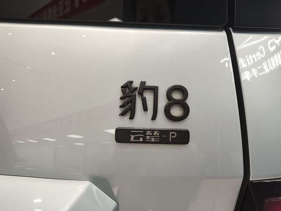 FangChengBao Leopard 8 2025 car image #13