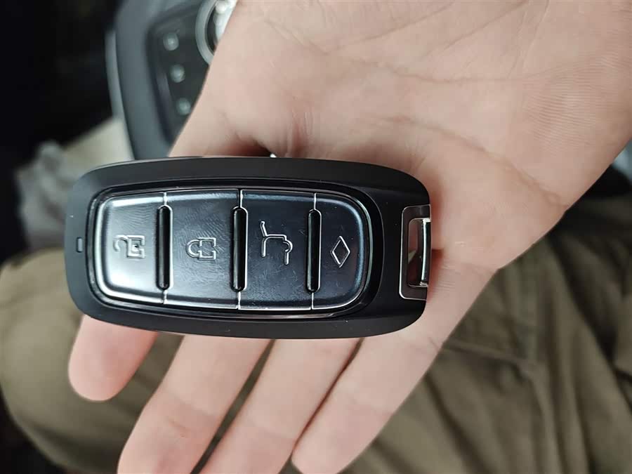 睿蓝汽车 枫叶60s 2023 汽车图片 #13