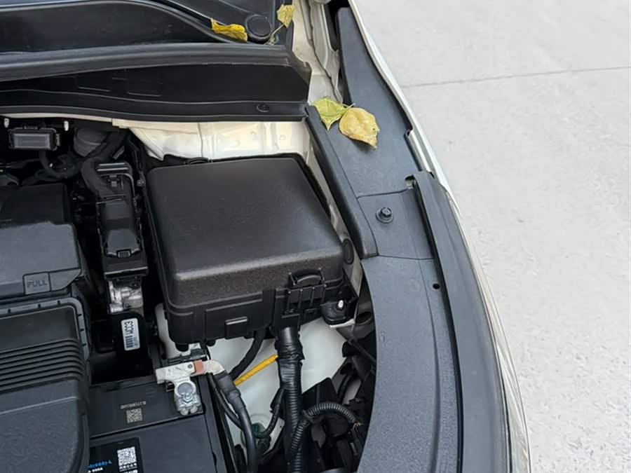 起亚 嘉华(进口) 2017 汽车图片 #13