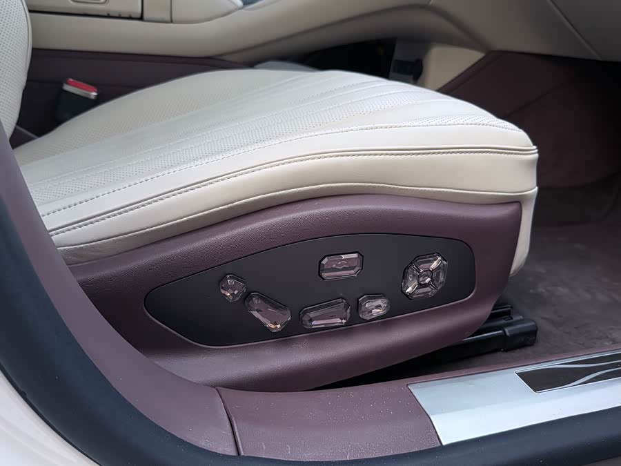 Denza Z9GT 2024 immagine di auto #13