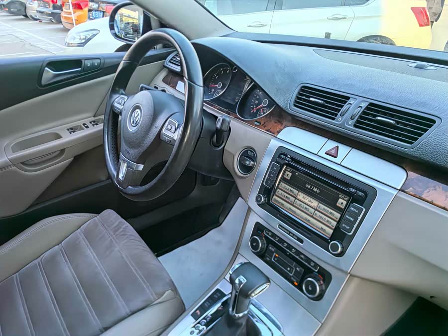 大众 Passat 2010 汽车图片 #13