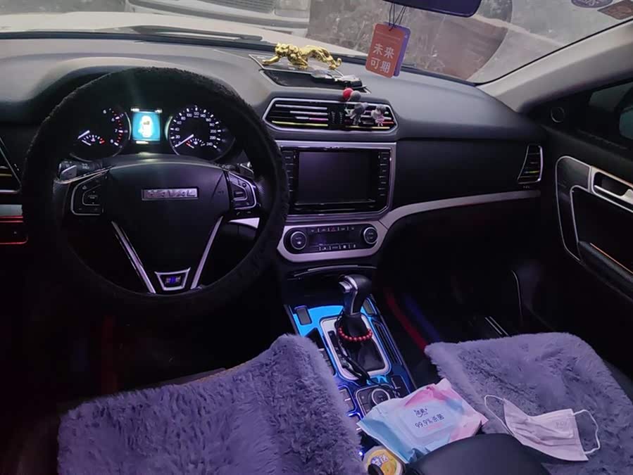 Haval H6 Coupe 2017 car image #13