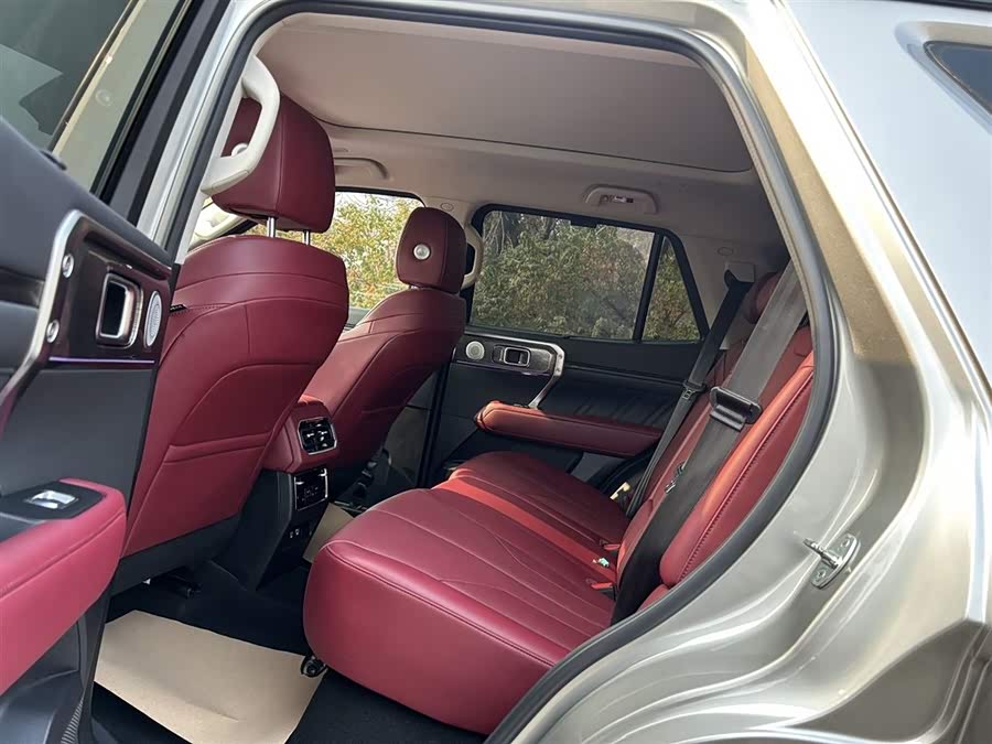 Tank 400 New Energy 2024 car image #13