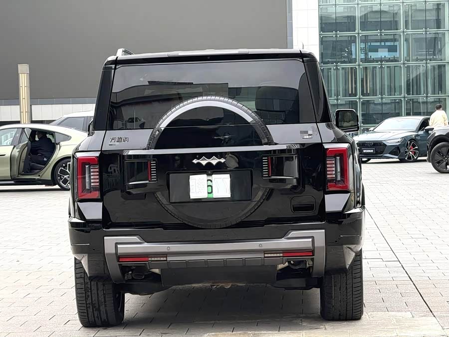 FangChengBao Leopard 8 2024 car image #13