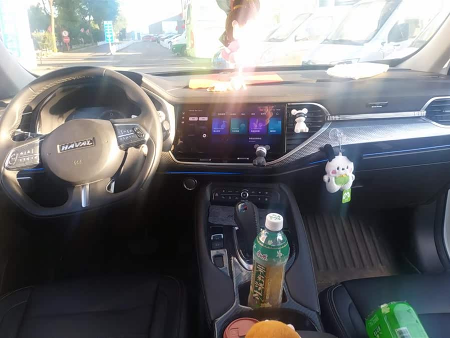 Haval F7x 2021 immagine di auto #13