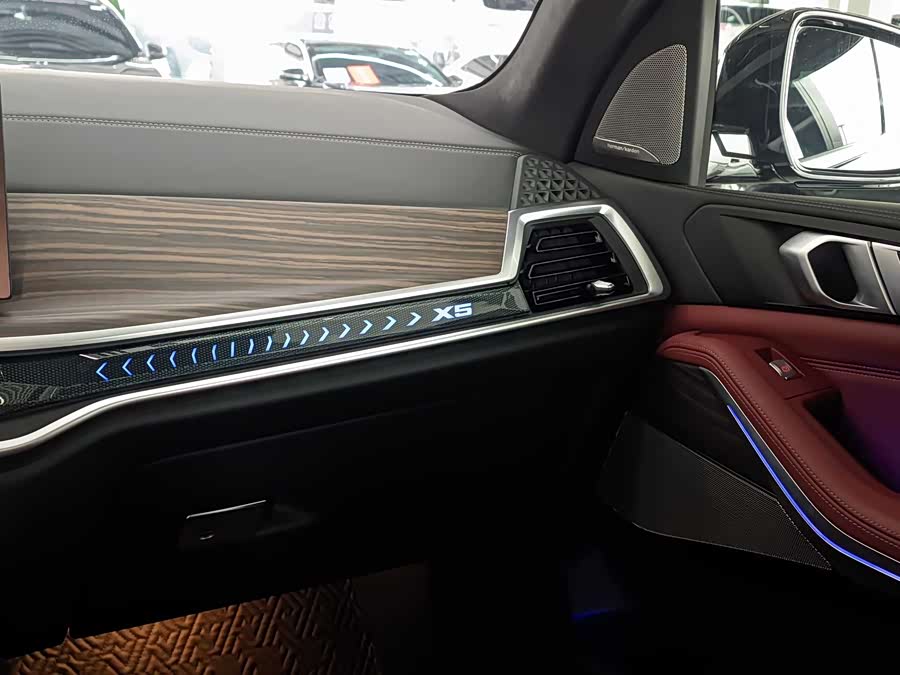 BMW X5 2025 imagen de coche #13