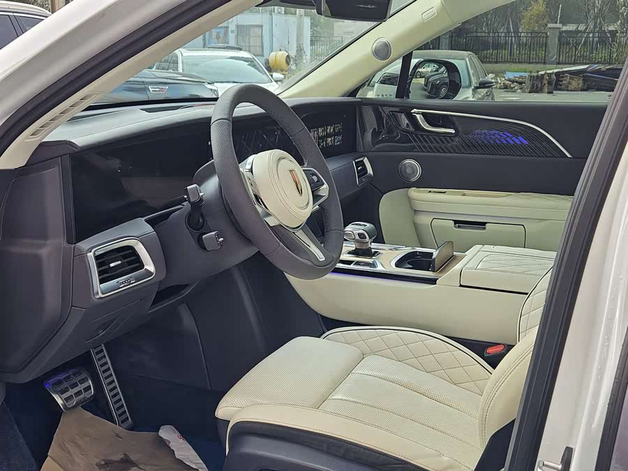 HongQi E-HS9 2021 صورة سيارة #13