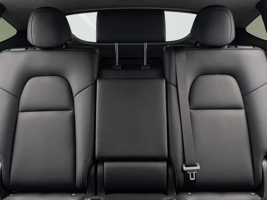 Tesla Model Y 2024 car image #13