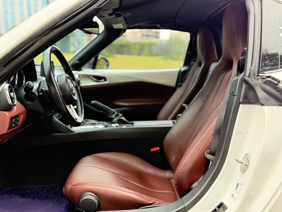 GEELY Monjaro MHEV 2019 car image #13