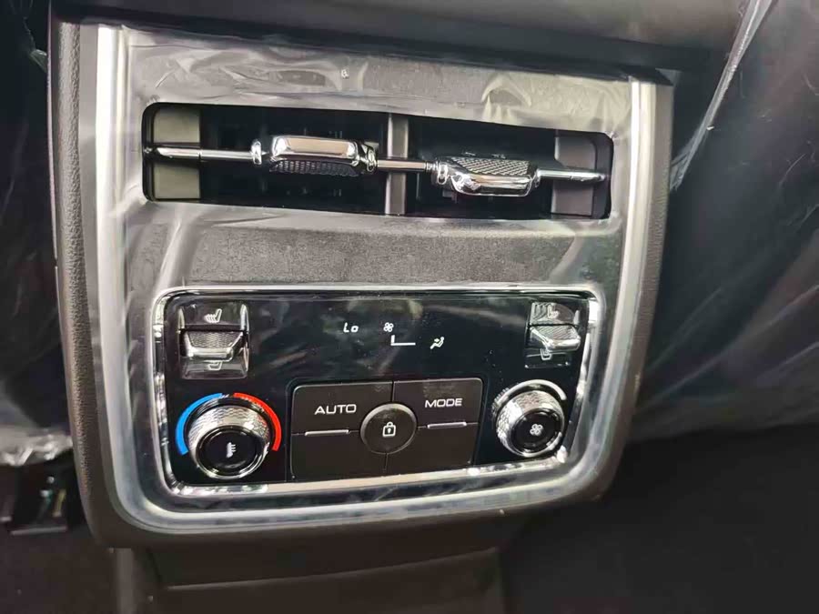 Tank 500 New Energy 2025 immagine di auto #13