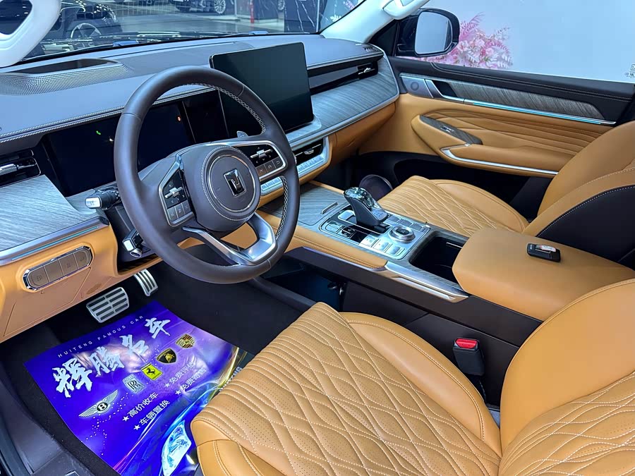 Tank 500 New Energy 2025 immagine di auto #13