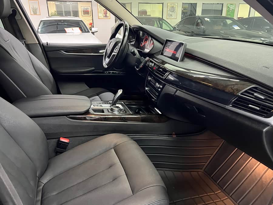 BMW X5 New Energy (Imported) 2016 immagine di auto #13