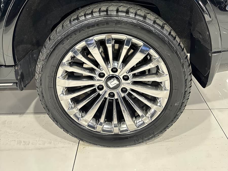 Tank 500 New Energy 2023 car image #13