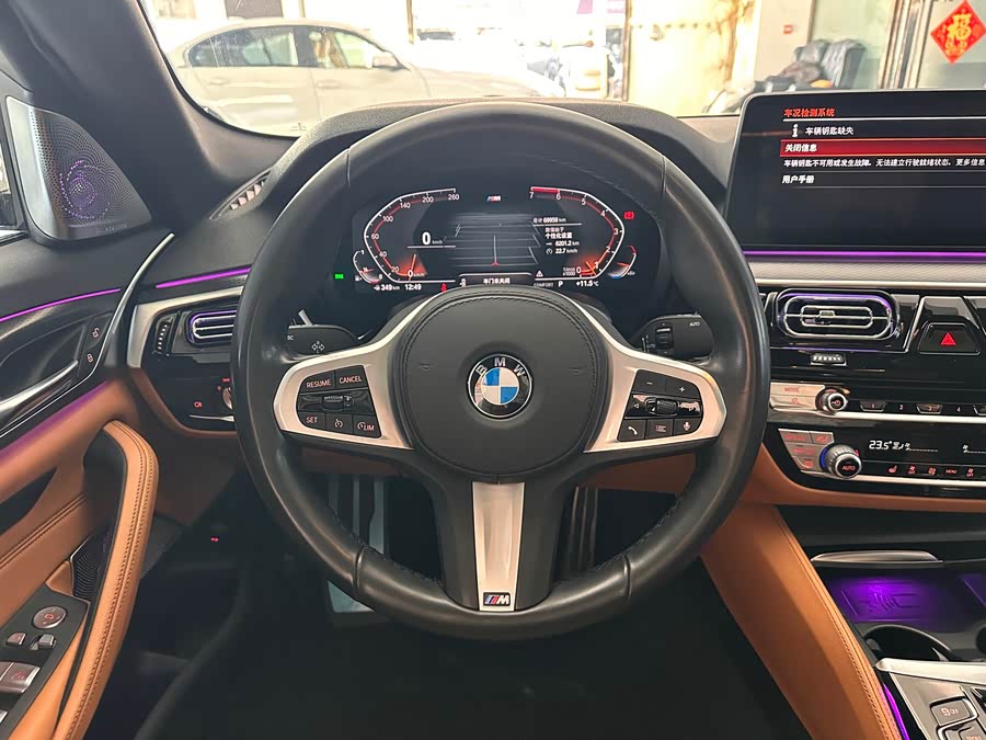 BMW 5 Series (Imported) 2021 #13 BMW 5 Series (Imported) 2021 immagine di auto #13