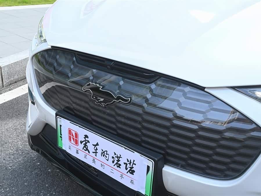 Ford Mustang Mach-E 2023 #13 Ford Mustang Mach-E 2023 car image #13