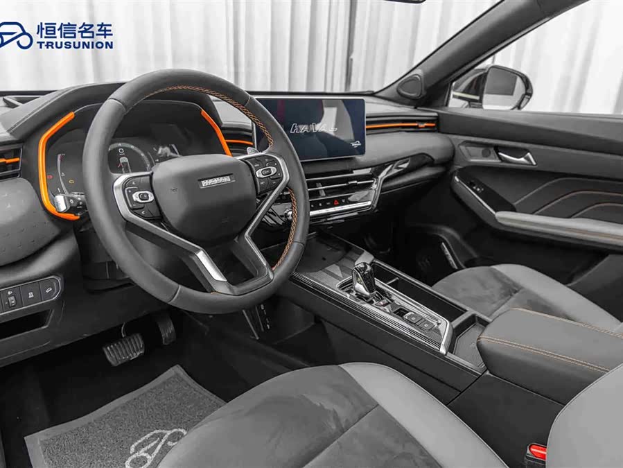 Haval Rabbit 2021 car image #13