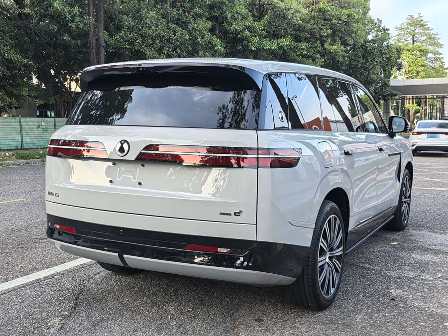 Denza N9 2025 immagine di auto #13