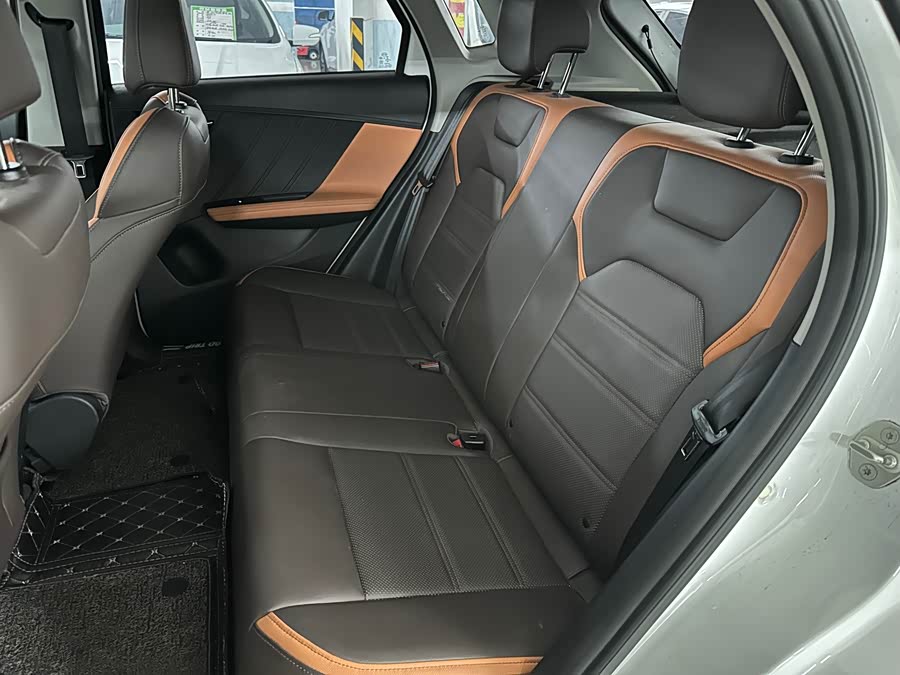 BYD e2 2020 #13 BYD e2 2020 immagine di auto #13