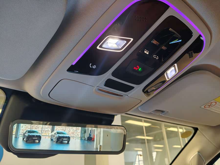 Tank 500 New Energy 2024 immagine di auto #13