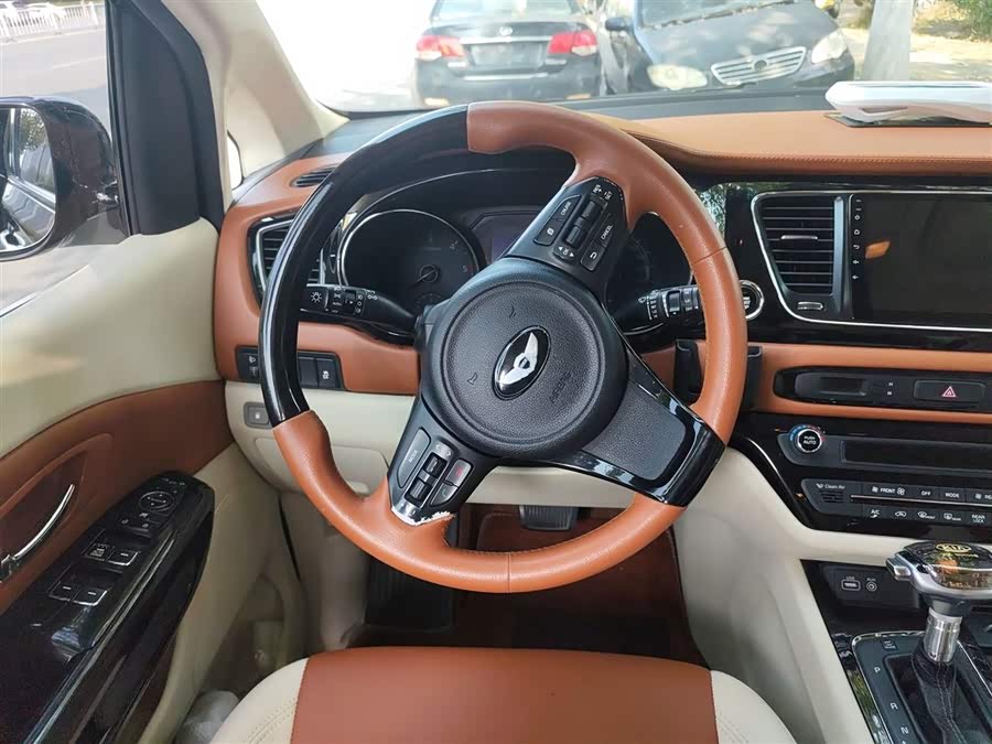 Kia Carnival (Imported) 2016 car image #13