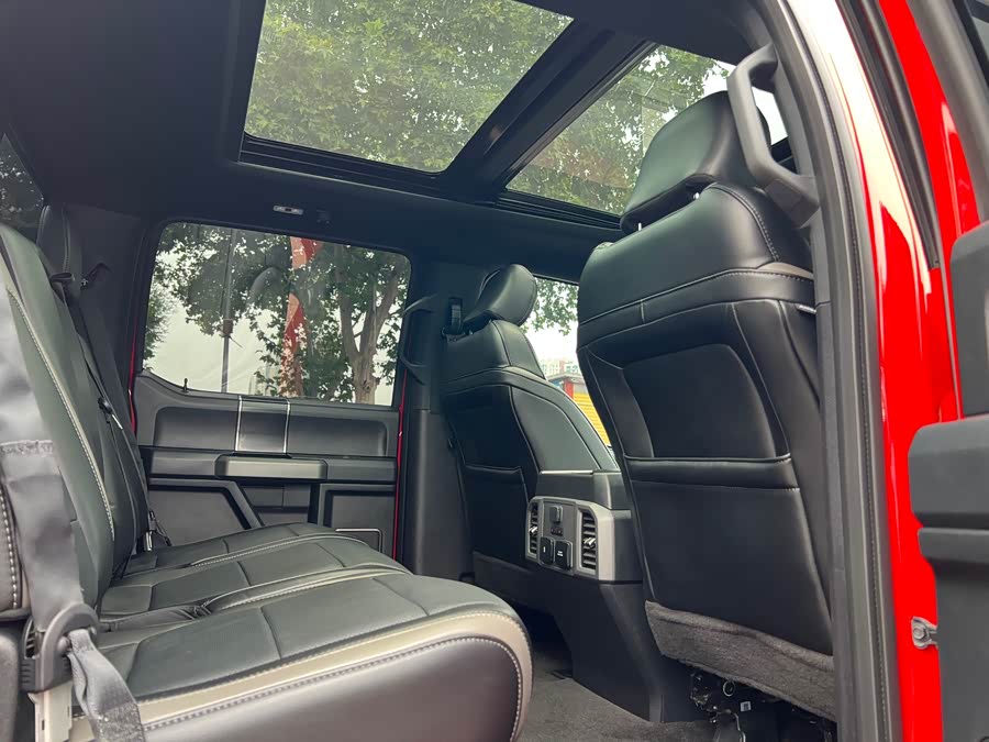 Ford F-150 Raptor 2019 car image #13