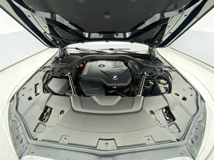 BMW 7 Series 2020 car image #13