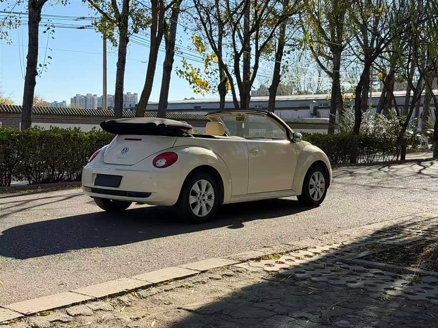 Volkswagen Beetle 2010 immagine di auto #13